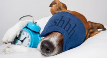 Getting a good night’s sleep