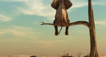 Sick and tired of iso? Hang in there!