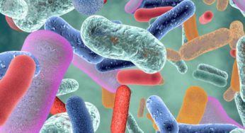 Your gut microbiome