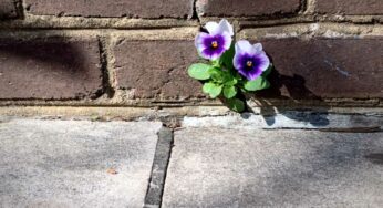 Building resilience